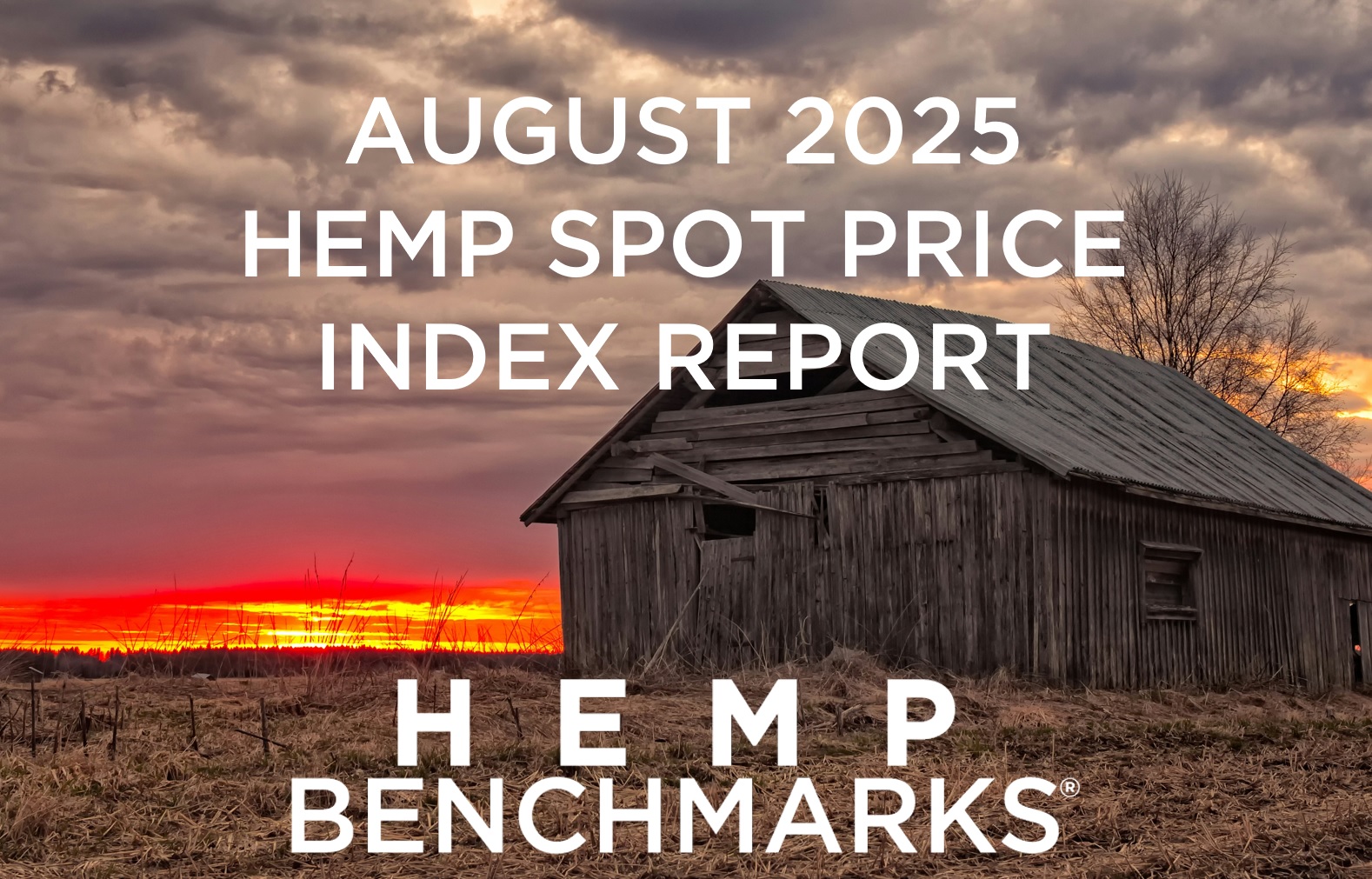 Spot Price Report