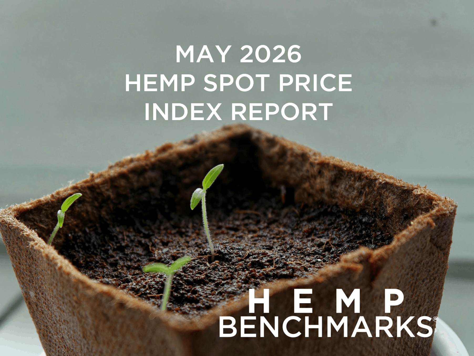 Spot Price Report