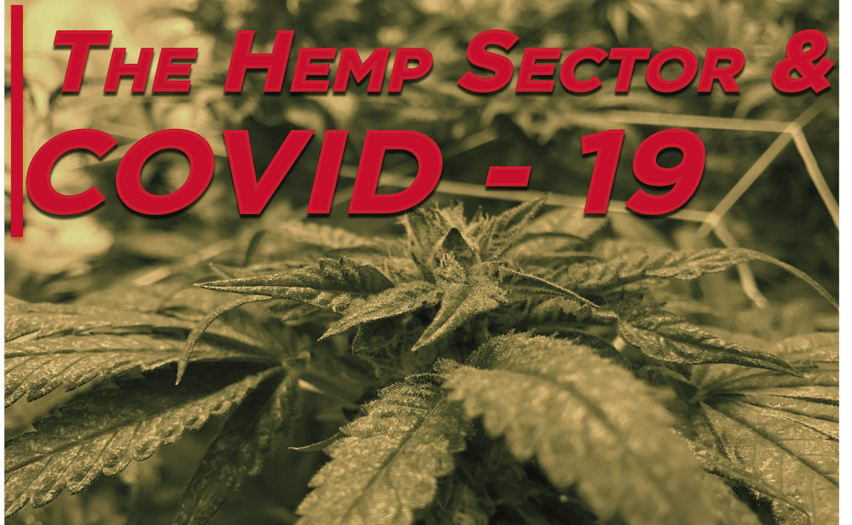 The Hemp Sector and the Coronavirus Outbreak 