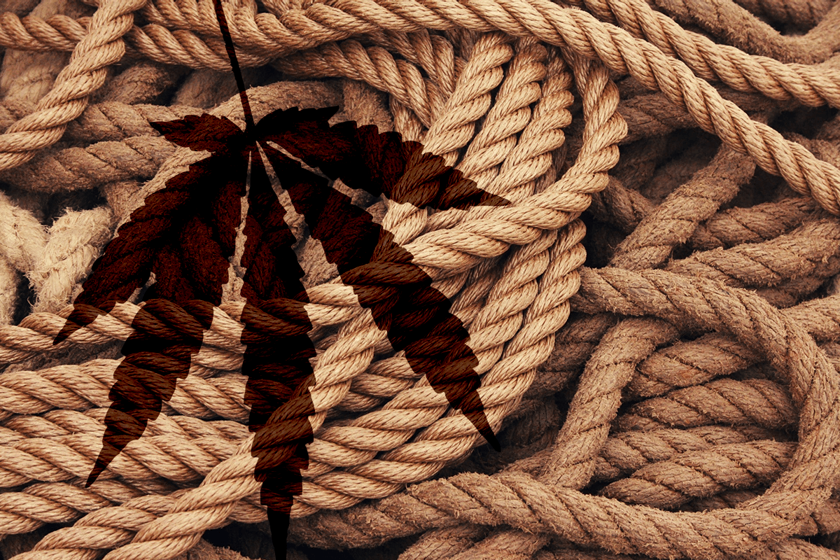 Hemp Fiber: A Market in Search of a Viable Supply Chain - Hemp Benchmarks