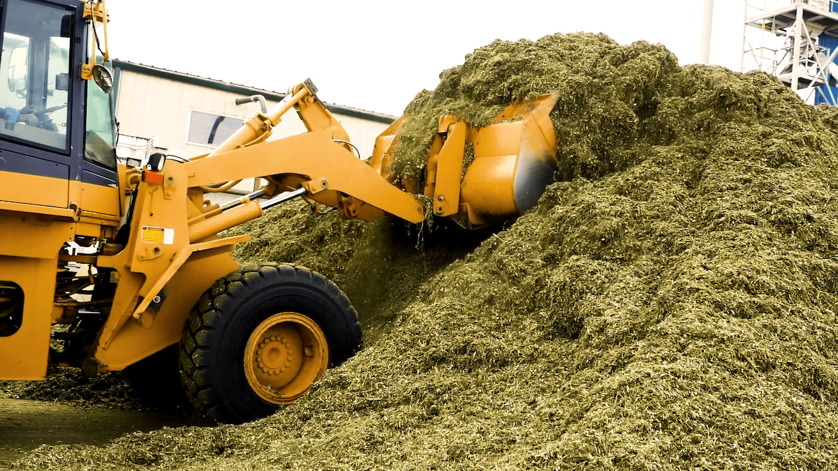 New Approaches for Preserving Hemp Biomass: Saving the 2020 Crop 