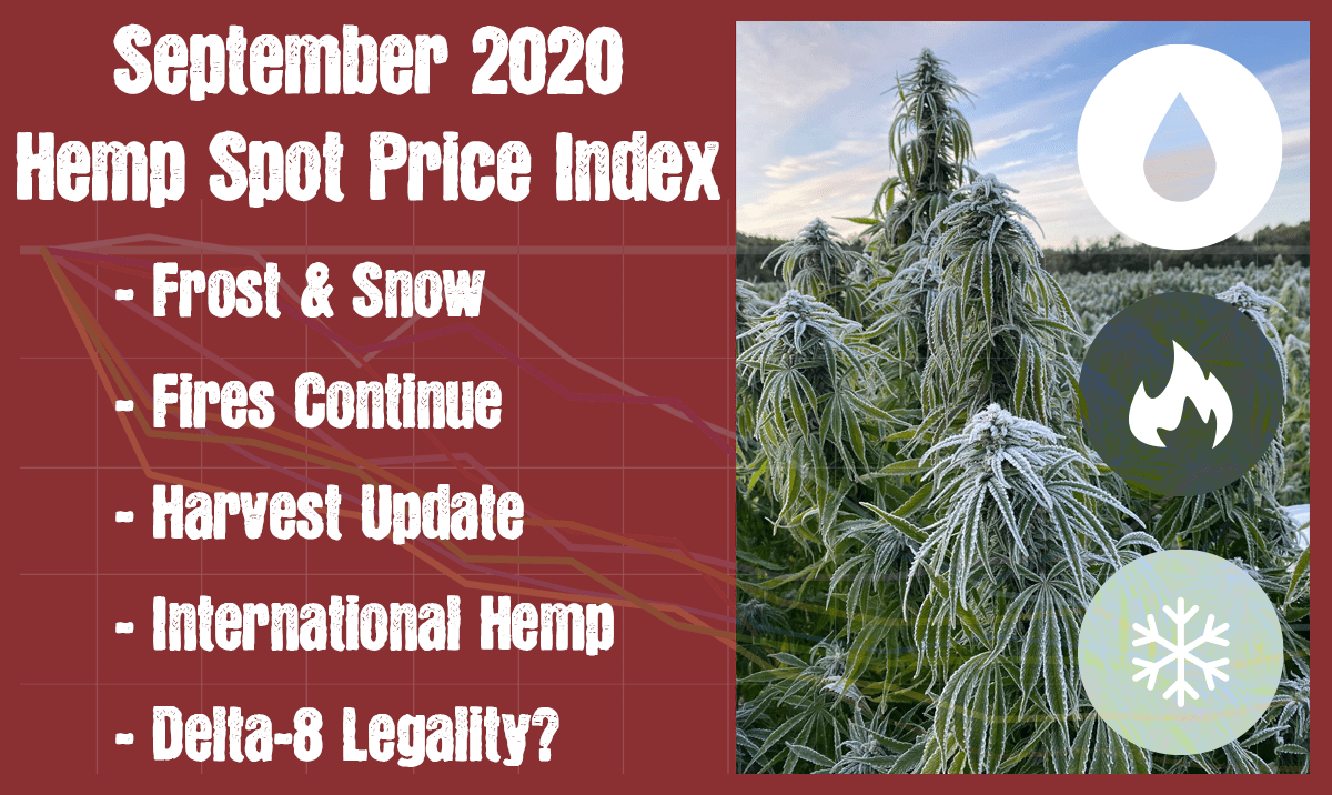 September 2020 Hemp Spot Price Index Report 