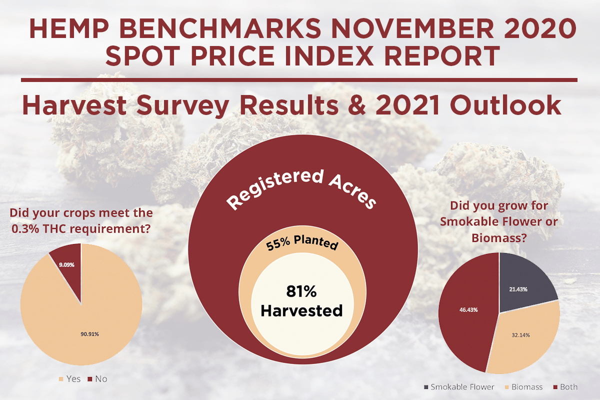 November 2020 Hemp Spot Price Index Report 