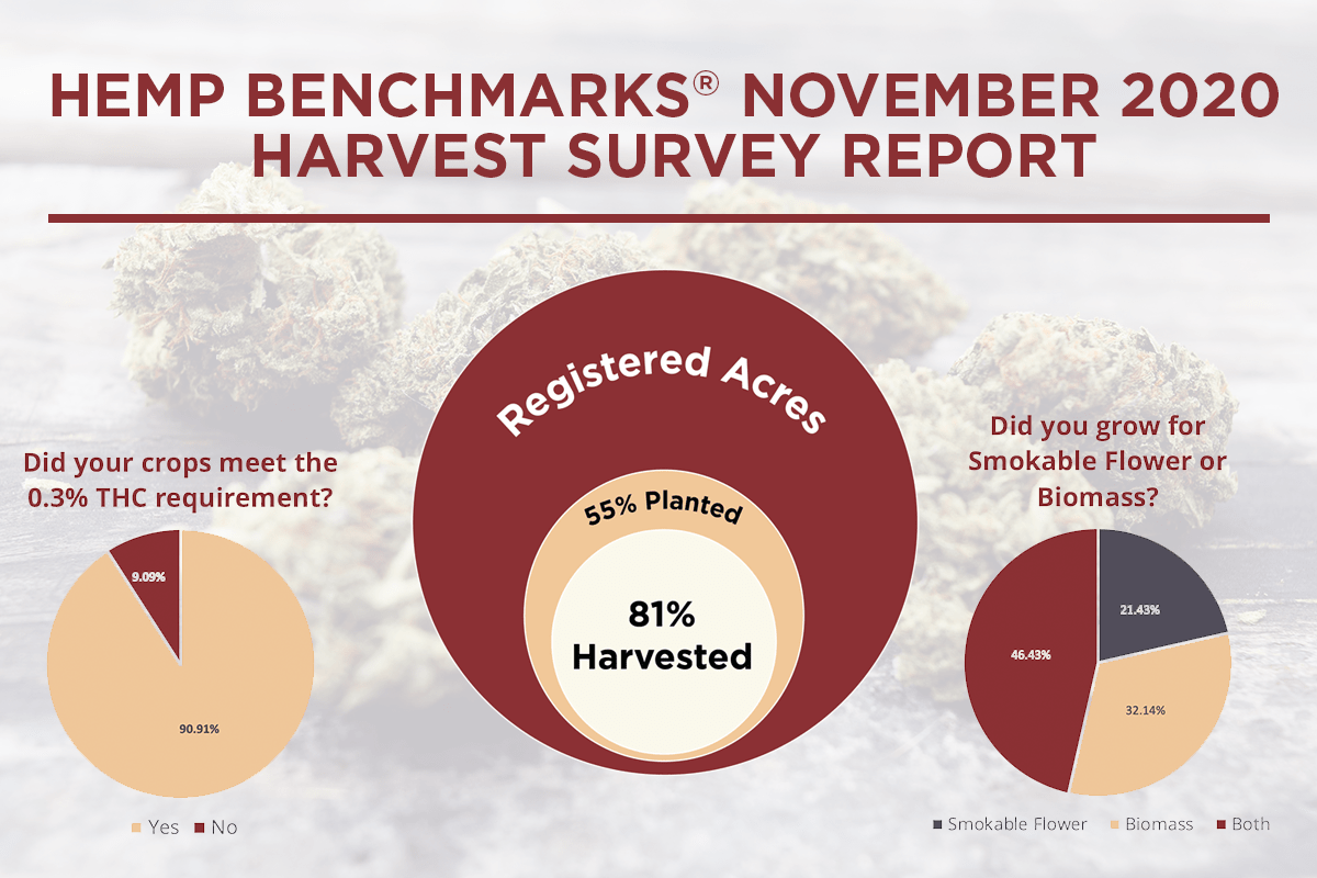 Hemp Benchmarks November 2020 Harvest Survey Report 