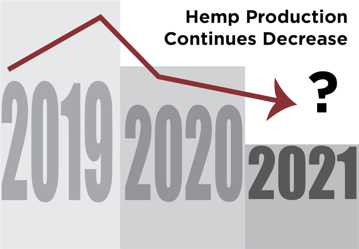 Will Hemp Production Decrease Again in 2021? 