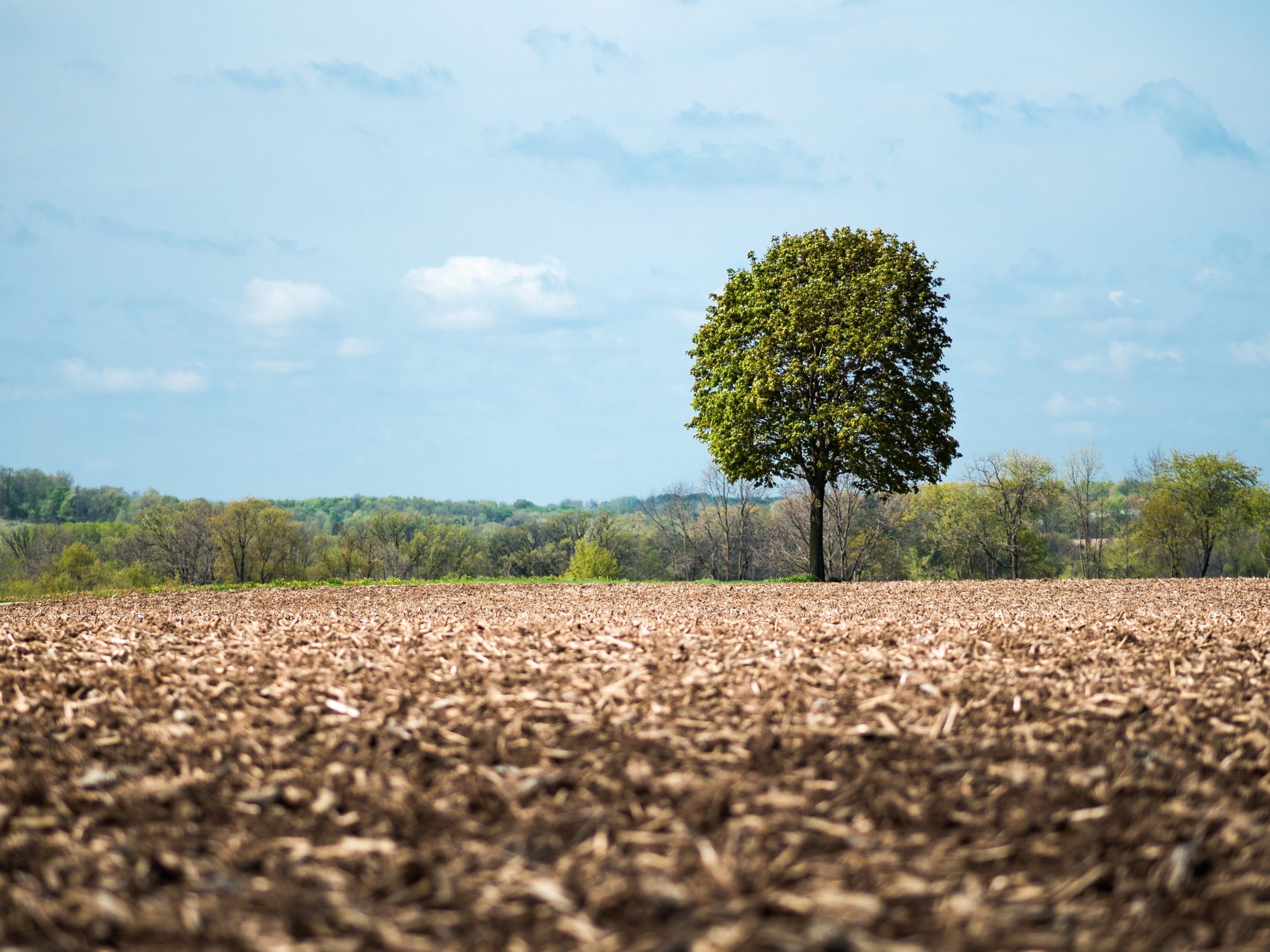 no-till farming