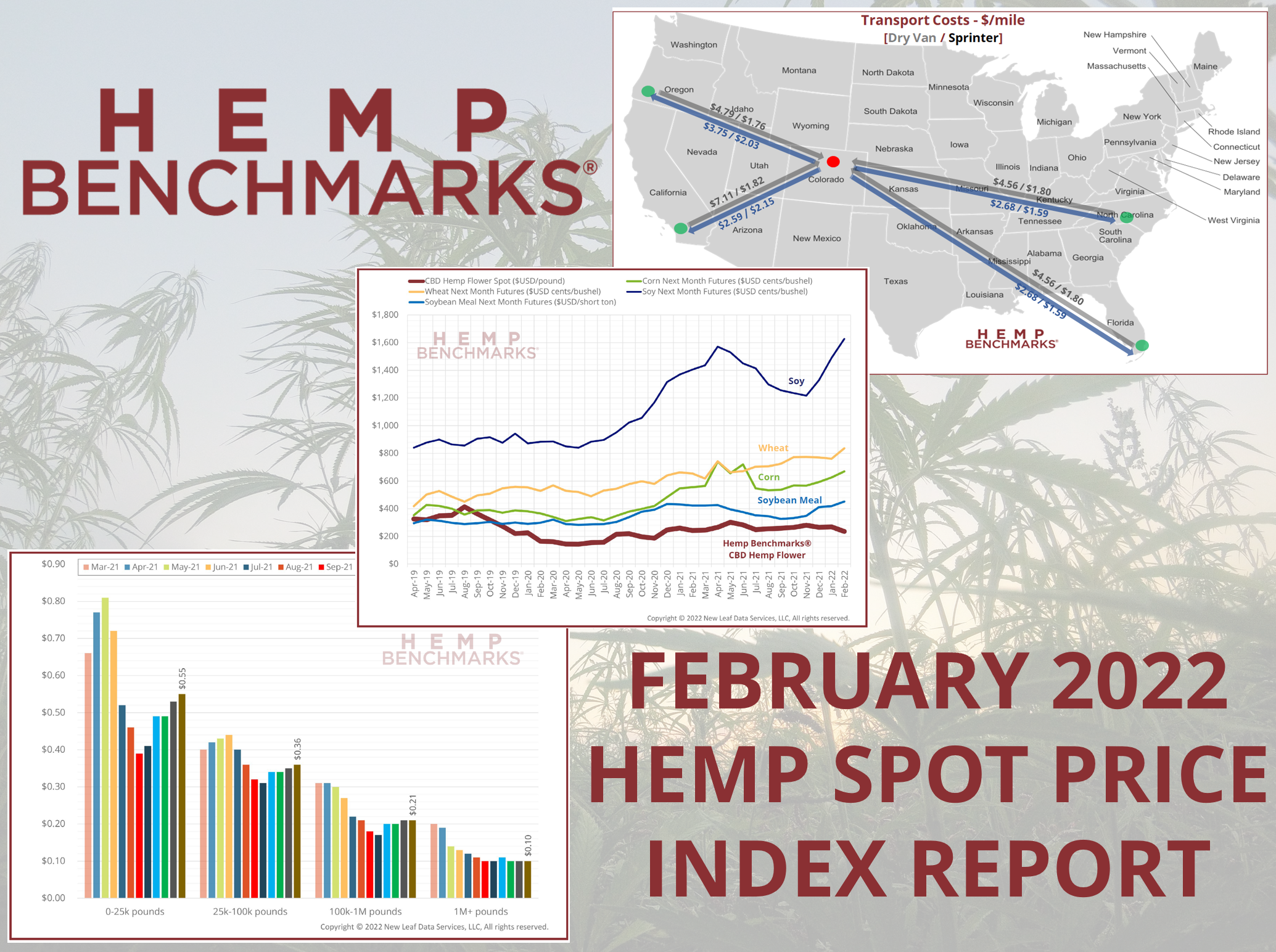 February 2022 Hemp Spot Price Index Report