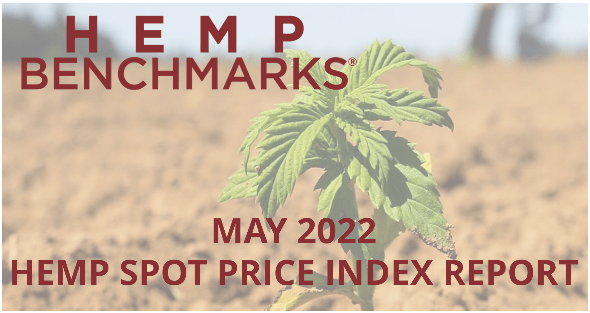 May 2022 Hemp Spot Price Index Report 