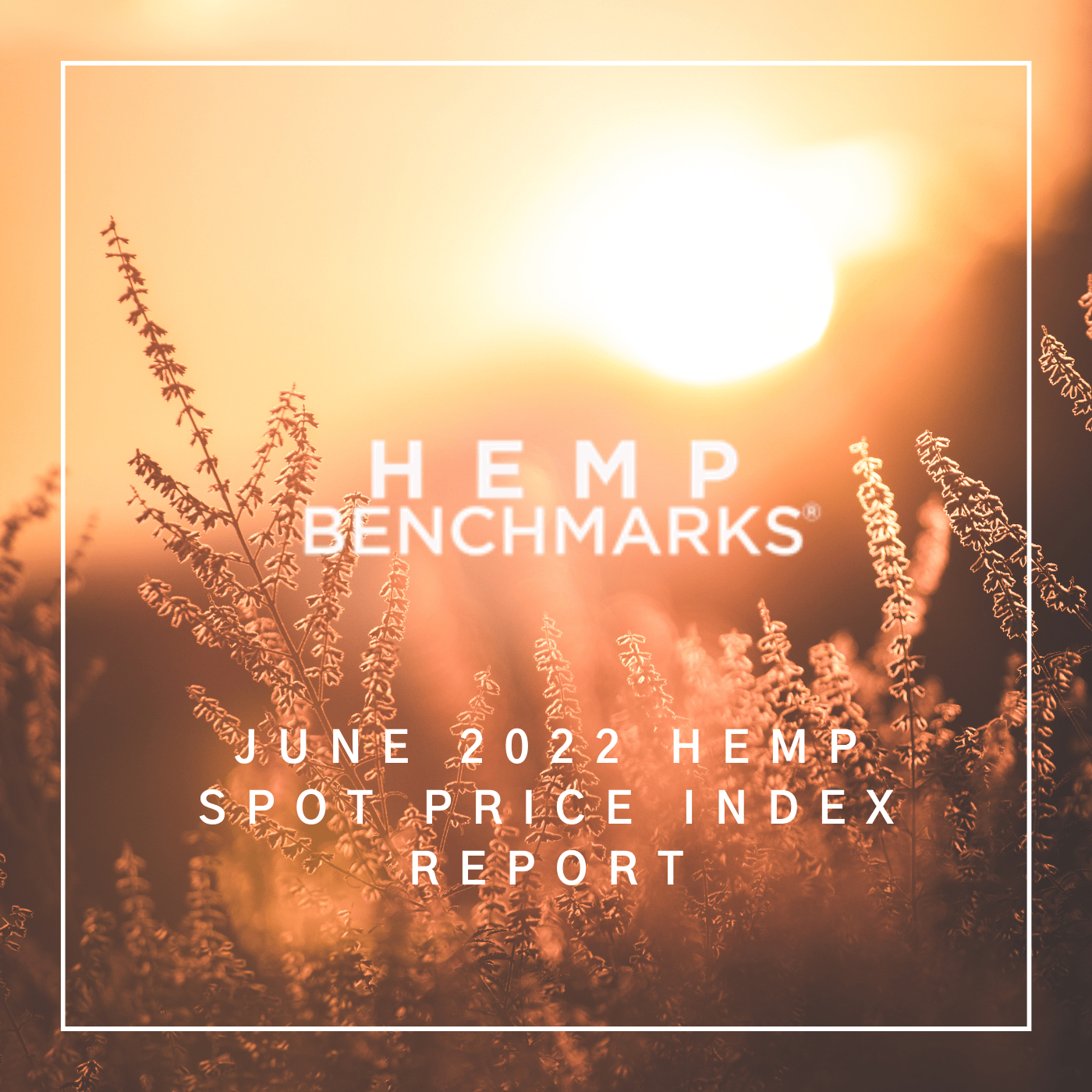 June 2022 Hemp Spot Price Index Report 