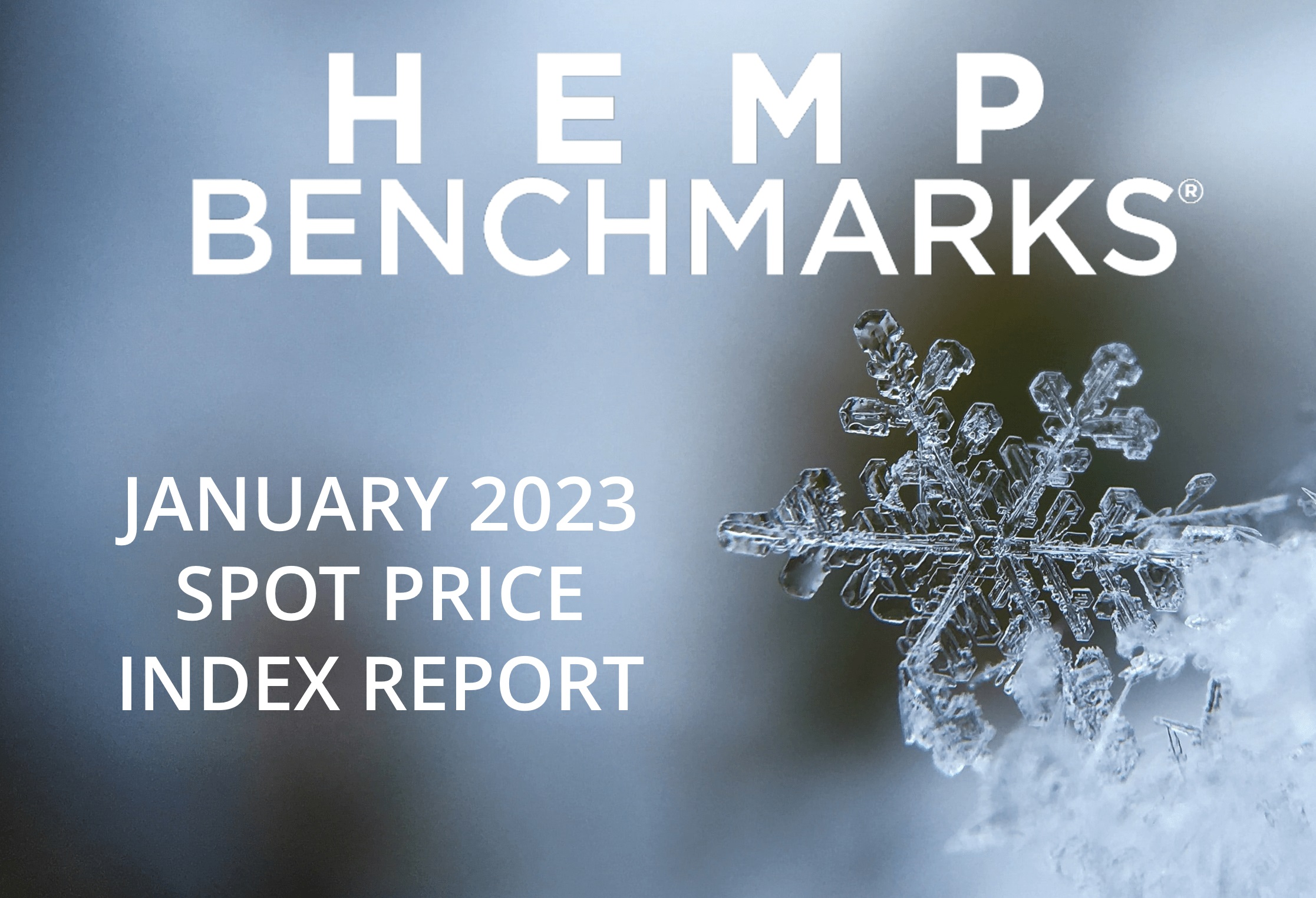 Hemp Benchmarks January 2023 Spot Price Index Report