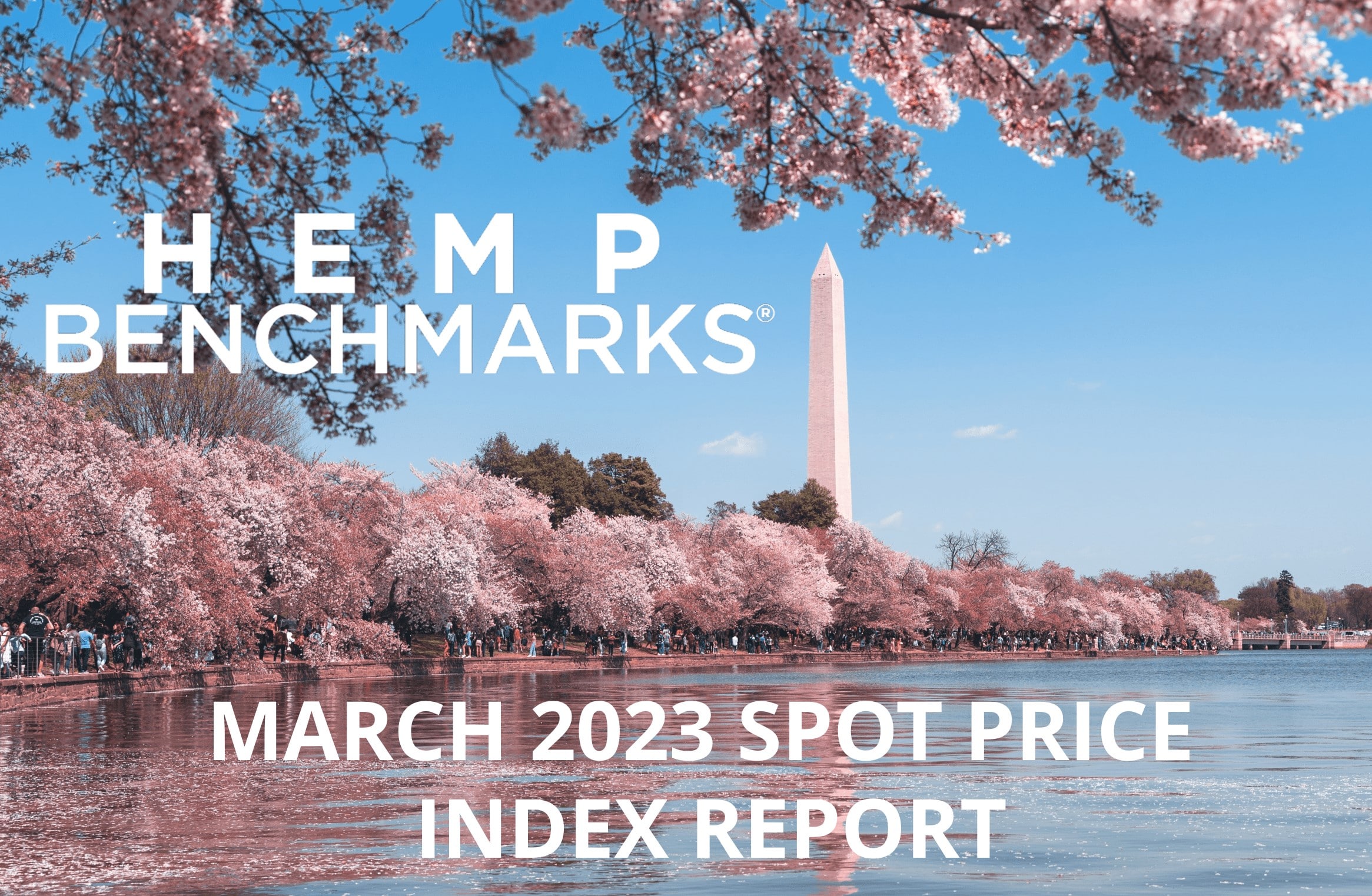 March 2023 Hemp Spot Price Index Report 