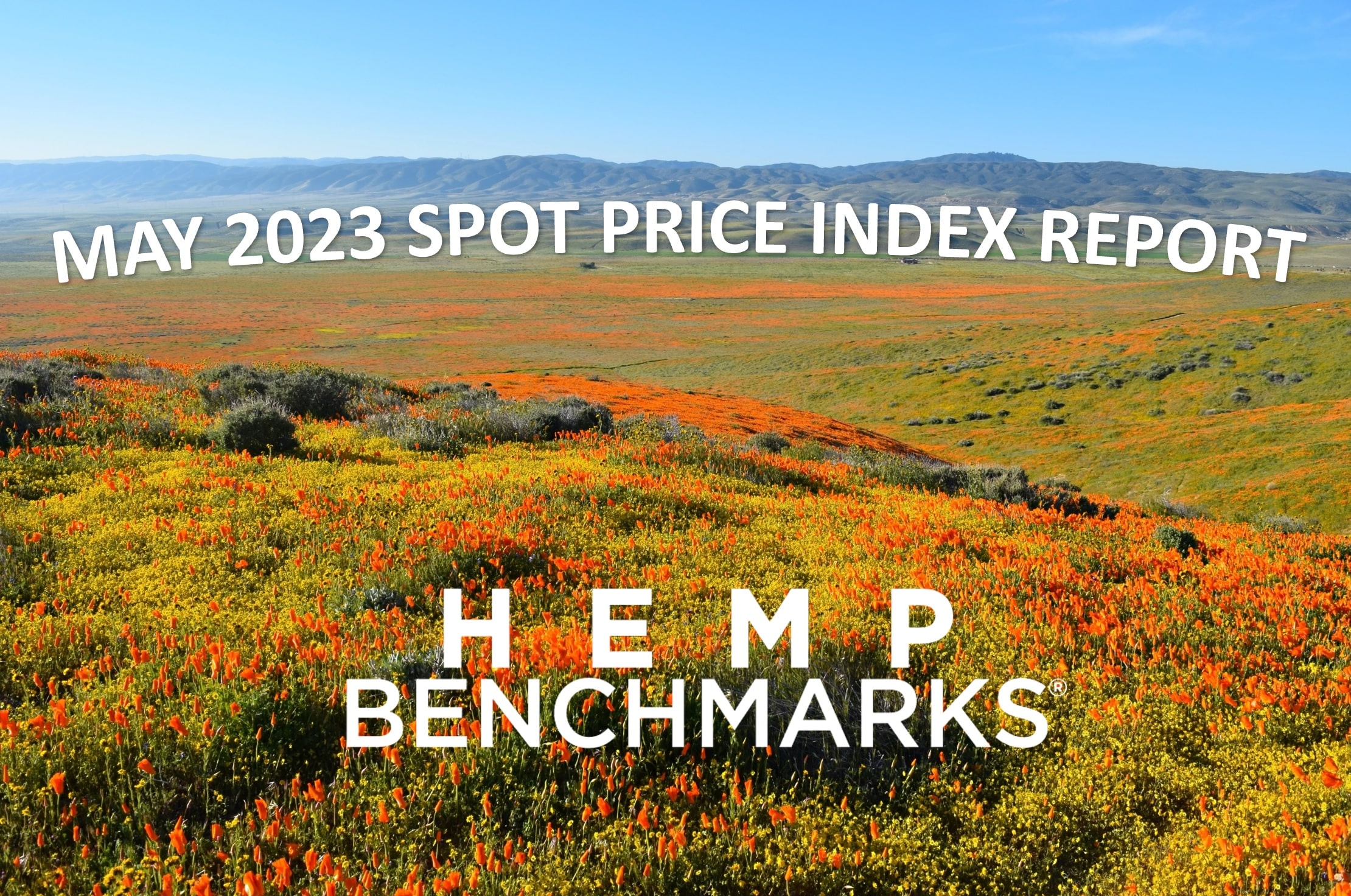 May 2023 Hemp Spot Price Index Report 