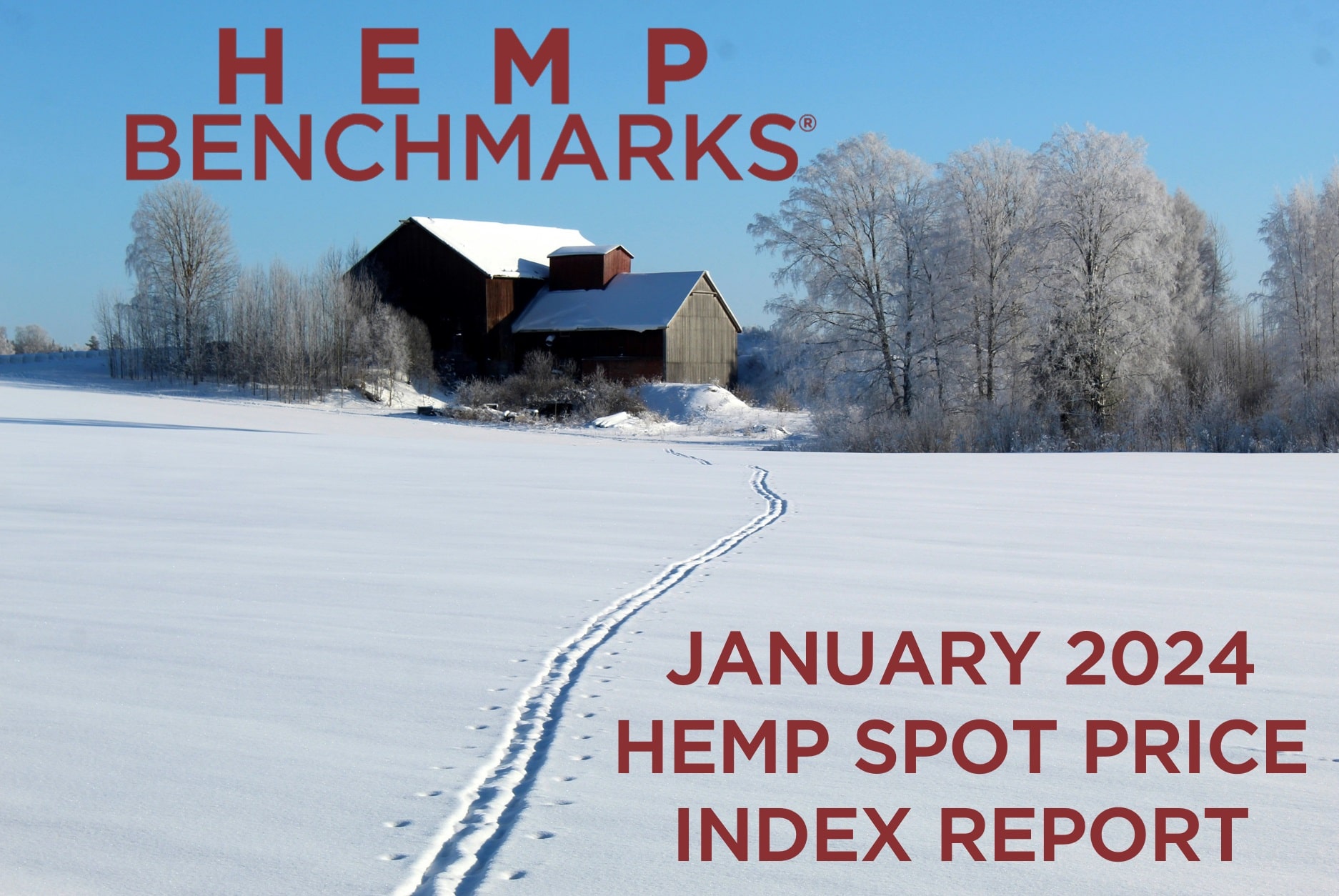 Hemp Benchmarks January 2024 Spot Price Index Report