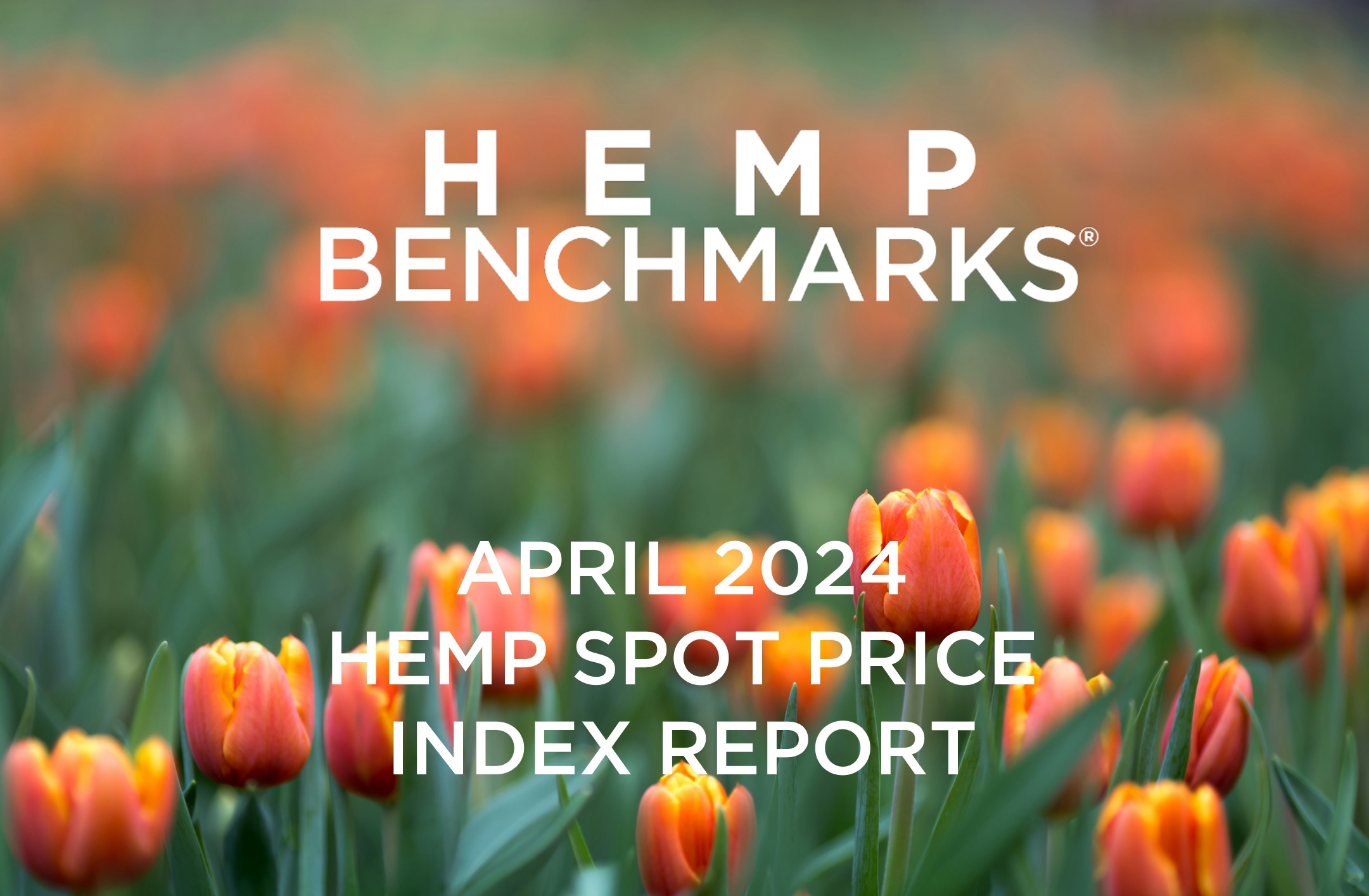 Hemp Benchmarks April 2024 Hemp Spot Price Index Report