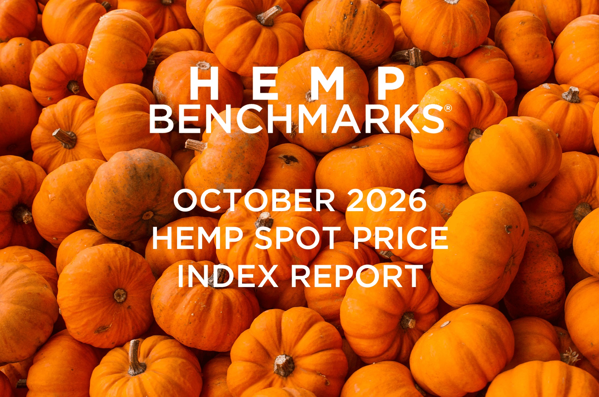 Hemp Benchmarks October 2026 Spot Price Index Report 